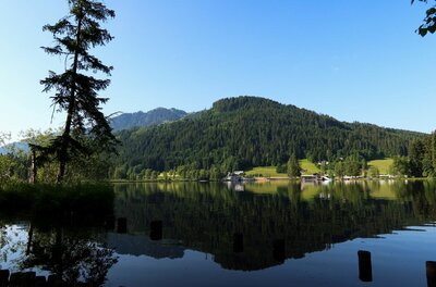 Schwarzsee Runde Blick über einen ruhigen See auf bewaldete Berge unter blauem Himmel mit Spiegelung im Wasser.