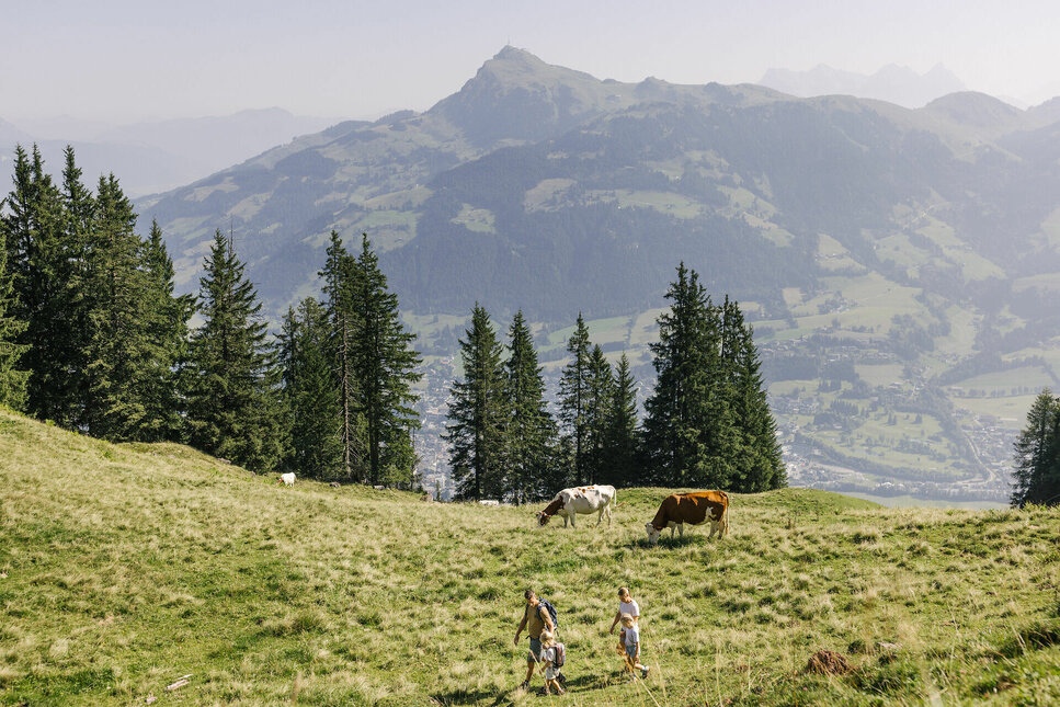 Hiking the Streif in summer – where legends begin in winter