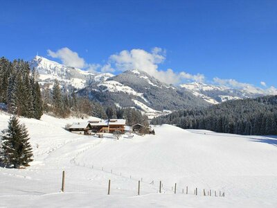 Im Winter mit Blick auf das Horn Wald am See