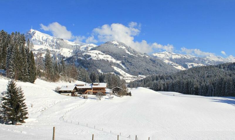 Im Winter mit Blick auf das Horn