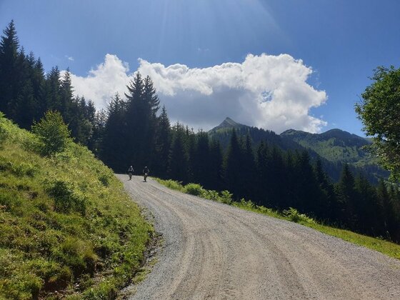 Zwei Mountainbiker auf einem breiten Schotterweg vor bewaldeten Bergen und blauem Himmel.
