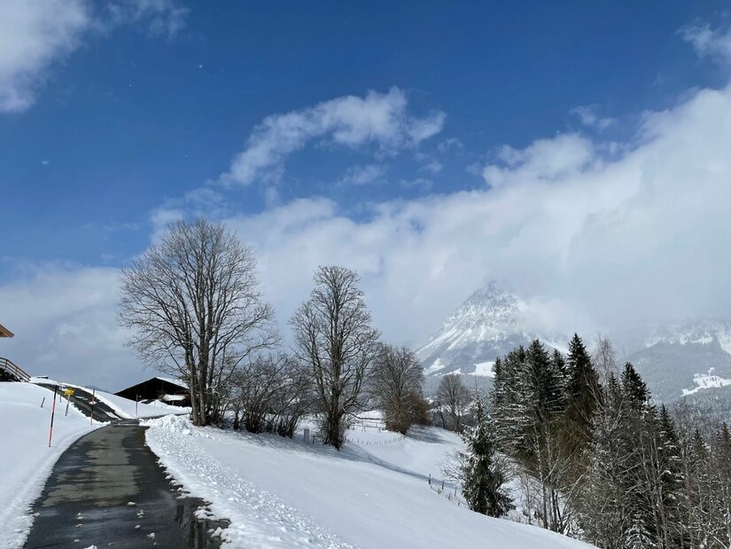 Geräumter Asphaltweg in einer verschneiten Alpenlandschaft mit Blick auf einen wolkenverhangenen Berggipfel.