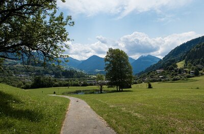 Wanderweg Malern Walk Ein asphaltierter Wanderweg führt durch grüne Wiesen auf bewaldete Berge unter bewölktem Himmel zu.