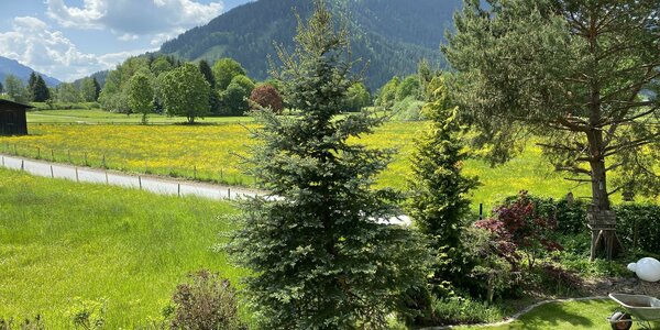 Ausblick - Gartenblick -GB