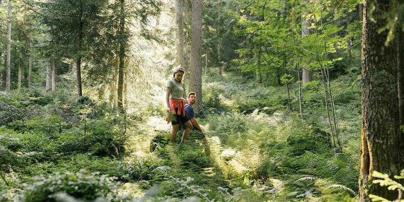Two people are hiking in the woods