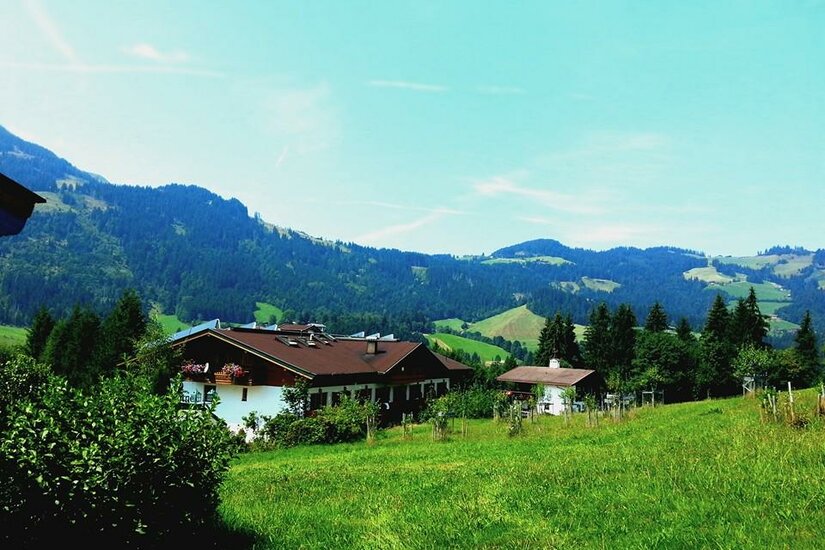 Biohotel Pointner Eine malerische Landschaft mit grünen Wiesen und Bergen im Hintergrund. Im Vordergrund stehen einige Häuser, umgeben von Bäumen und Pflanzen.