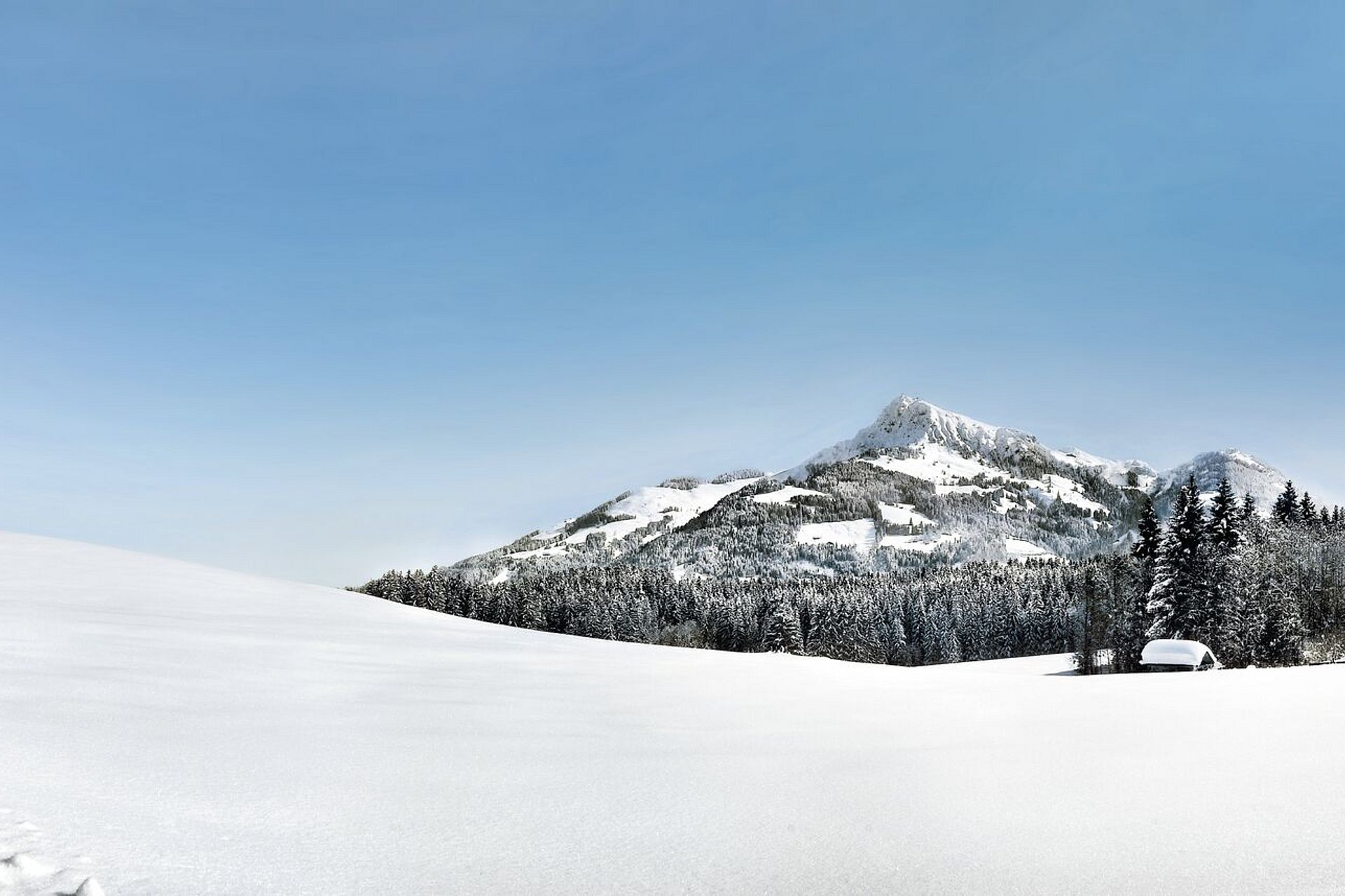 Verschneite Berglandschaft 