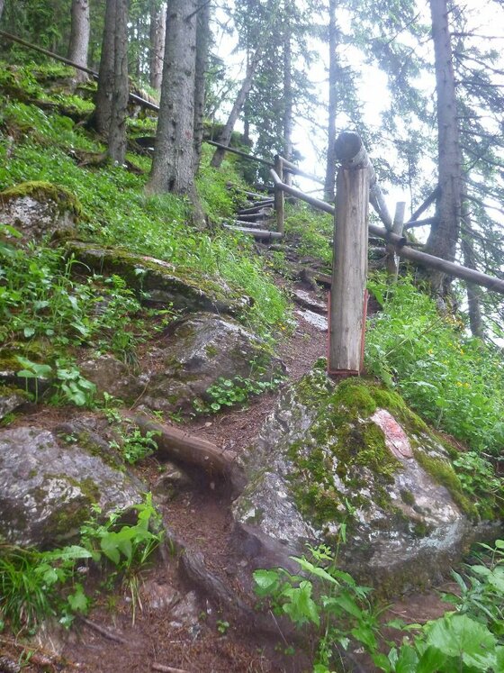 Wanderweg am Rechegg Steiler Waldpfad mit Holzgeländer und moosbewachsenen Steinen.