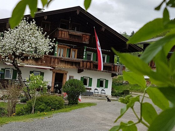 Alpenländisches Bauernhaus mit dunkler Holzfassade, weißem Erdgeschoss, grünen Fensterläden und Tiroler Fahne.