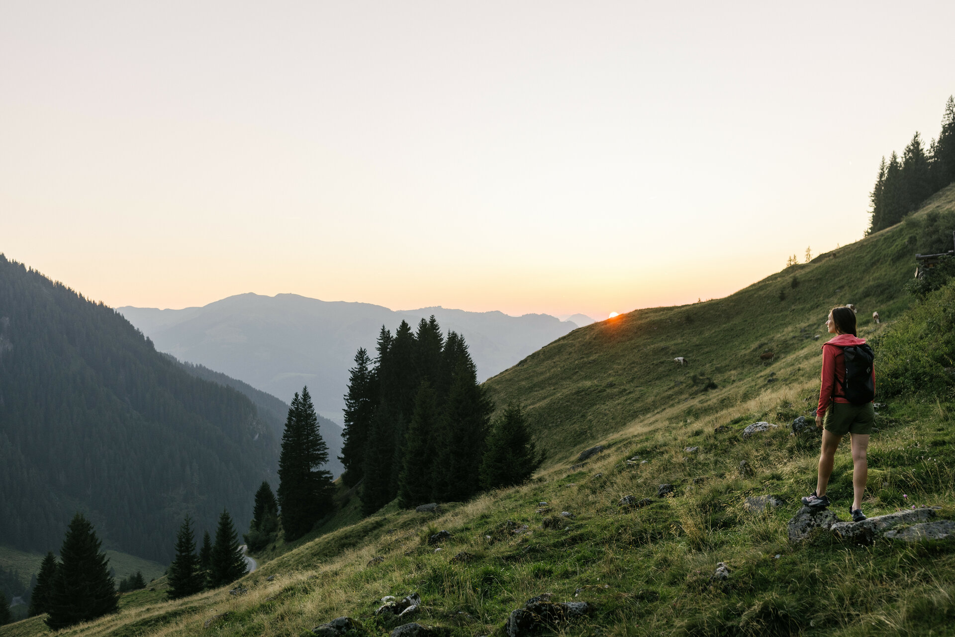 Hiking in the Südberge
