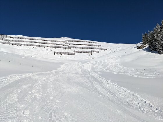 Lawinenverbauung an der Bichlalm Verschneiter Berghang mit Lawinenverbauungen unter blauem Himmel.