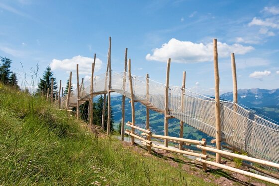 Kletterelement am Wanderweg Hölzerne Kletterkonstruktion mit Netzsicherung auf einem Grashang vor Gebirgspanorama.
