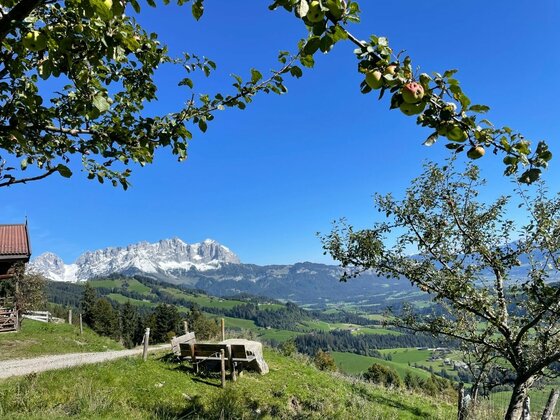 Blick von einer Holzbank auf ein grünes Tal und ein schneebedecktes Gebirgsmassiv unter blauem Himmel.