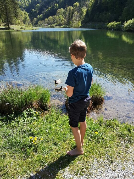 Kind am Pillersee Ein Junge steht barfuß am Ufer eines Bergsees und beobachtet zwei Enten im flachen Wasser.