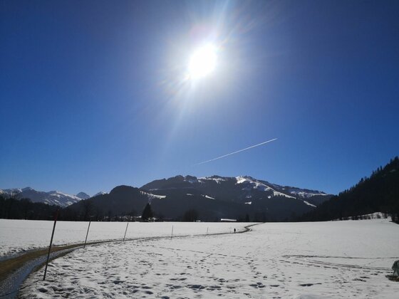 Verschneites Feld mit einem geräumten Weg vor einer Bergkulisse unter blauem Himmel mit strahlender Sonne.