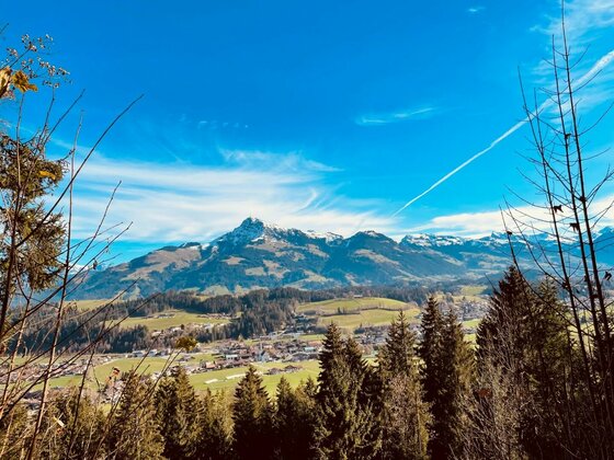 Blick über Nadelbäume auf ein Tal mit Dorf und schneebedeckten Berggipfeln unter blauem Himmel.