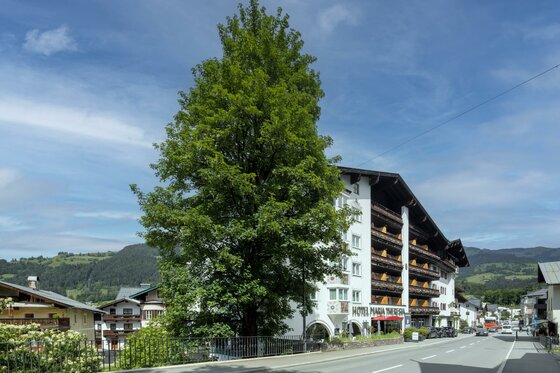 Mehrstöckiges Hotelgebäude an einer Straße mit großem Laubbaum im Vordergrund und Bergen im Hintergrund.