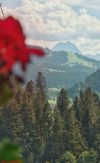 Wachinghof Blick Rettenstein