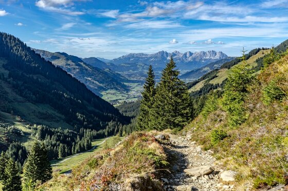 Wanderweg in den Kitzbüheler Südbergen Schmaler Wanderweg am Berghang mit Blick auf ein bewaldetes Tal und ferne Gebirgszüge unter blauem Himmel.