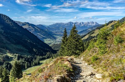 Wanderweg in den Kitzbüheler Südbergen Schmaler Wanderweg am Berghang mit Blick auf ein bewaldetes Tal und ferne Gebirgszüge unter blauem Himmel.