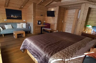 20260122_151938 Ein gemütliches Zimmer mit Holzwänden und einem großen Bett. Die Einrichtung ist modern und einladend, mit einem Sofa und einem Fernseher.