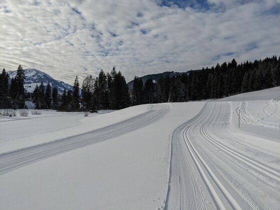 Präparierte Langlaufloipe im Schnee vor einem Nadelwald und Bergen unter bewölktem Himmel.