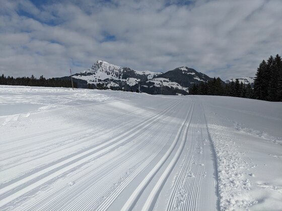 Präparierte Langlaufloipe im Schnee mit Blick auf verschneite Berggipfel unter bewölktem Himmel.