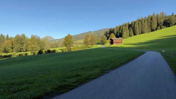 Weg am Ruetzenhof Asphaltierter Weg führt durch grüne Wiesen an einer Holzhütte vorbei zu einem Nadelwald unter blauem Himmel.