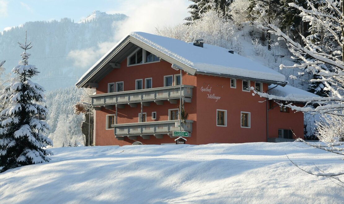 Moellinger Winter