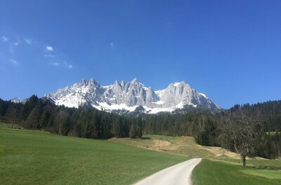 Blick über eine grüne Wiese und einen Schotterweg auf ein schneebedecktes Felsmassiv unter blauem Himmel.