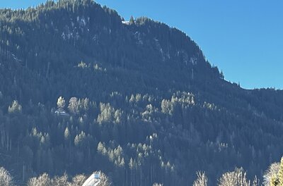 IMG_3977 Der Hahnenkamm ;-)