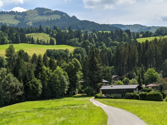 Wanderweg am Sonnberg Asphaltierter Weg führt an einem Haus vorbei durch grüne Wiesen auf bewaldete Berge zu.