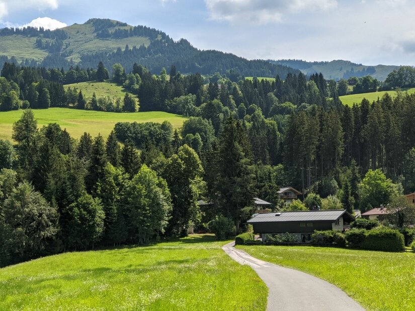 Asphaltierter Weg führt an einem Haus vorbei durch grüne Wiesen auf bewaldete Berge zu.