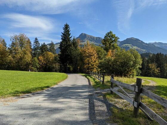Wanderweg am Gieringer Weiher Ein geschotterter Wanderweg führt an einer Wiese und einem Holzzaun vorbei auf einen Wald und Berge zu.