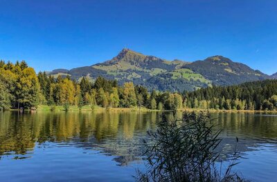 Ein ruhiger See im Vordergrund mit Spiegelung der umliegenden Wälder und einem markanten Berggipfel im Hintergrund.