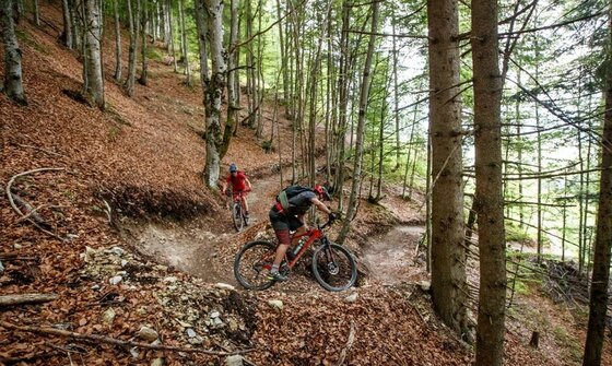 Mountainbiken auf dem Lisi Osl Trail Zwei Mountainbiker fahren auf einem schmalen Waldpfad durch einen Mischwald mit viel Laub am Boden.