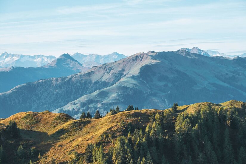 Blick über bewaldete und grasbewachsene Gebirgskämme auf die Kitzbüheler Alpen unter blauem Himmel.