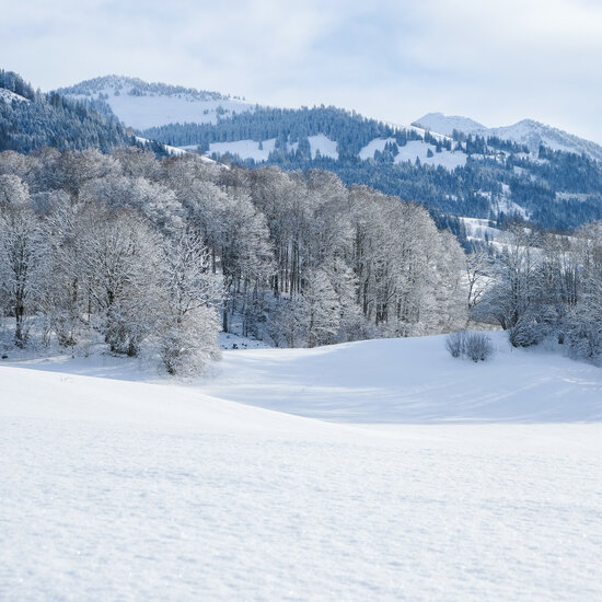 Aurach im Winter