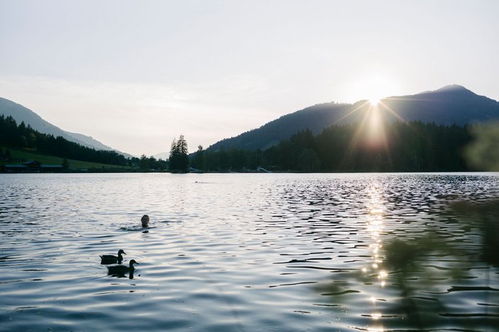 Schwarzsee and ducks