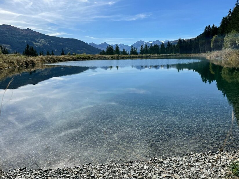 Bergsee bei Wagstätt-Schering-Jagawurz Ein klarer Bergsee mit Kiesufer vor einem Panorama aus Nadelbäumen und fernen Berggipfeln unter blauem Himmel.
