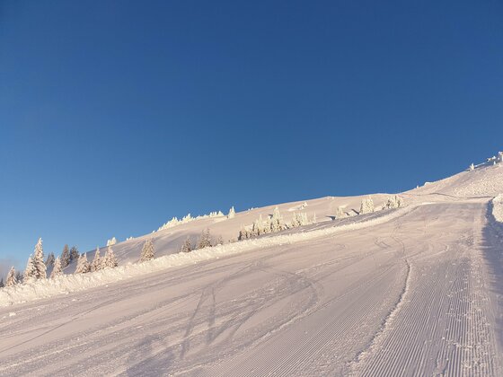 Präparierte Skipiste mit Rillenmuster und verschneiten Nadelbäumen unter blauem Himmel.