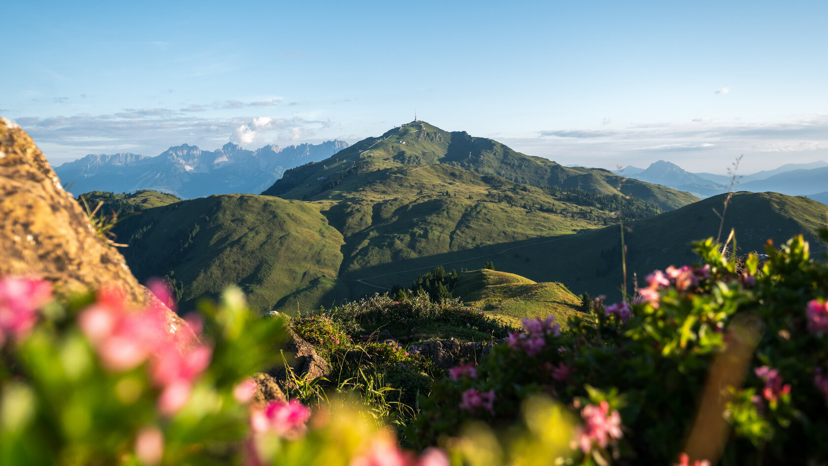 Eine atemberaubende Berglandschaft mit sanften Hügeln und blühenden Pflanzen im Vordergrund, unter einem klaren blauen Himmel.