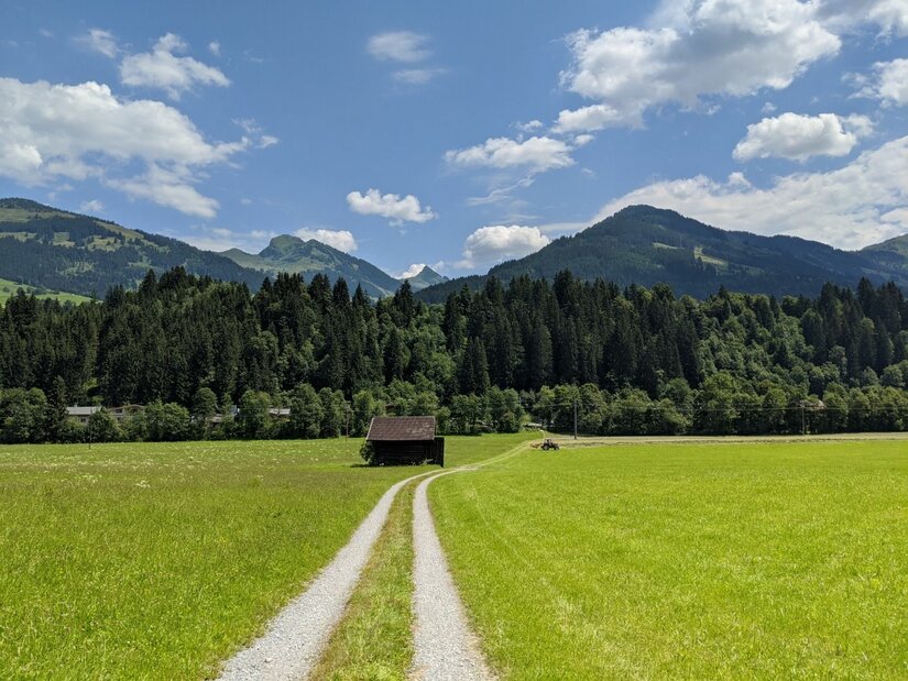 Wanderweg bei Pürsting Schotterweg führt über eine grüne Wiese zu einer Holzhütte vor bewaldeten Bergen unter blauem Himmel.