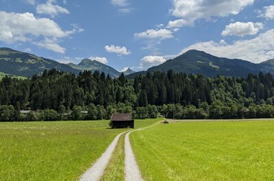 Wanderweg bei Pürsting Schotterweg führt über eine grüne Wiese zu einer Holzhütte vor bewaldeten Bergen unter blauem Himmel.