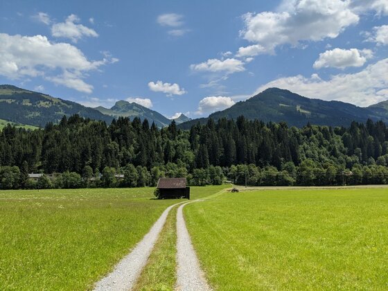 Schotterweg führt über eine grüne Wiese zu einer Holzhütte vor bewaldeten Bergen unter blauem Himmel.