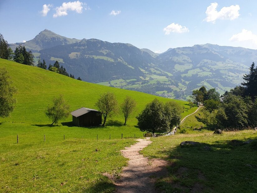 Ein schmaler Wanderweg führt über eine grüne Almwiese hinunter zu einer Holzhütte vor einem Bergpanorama.