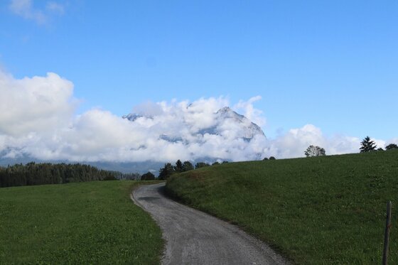 Weg am Leukentalradweg Ein geschotterter Weg führt durch grüne Wiesen auf ein wolkenverhangenes Bergmassiv zu.