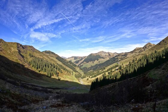 Blick in ein bewaldetes Gebirgstal unter blauem Himmel mit Schleierwolken.