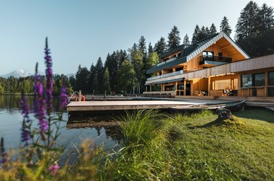 Steghaus Sommer Ein modernes Holzhaus am Ufer eines ruhigen Sees, umgeben von grünen Bäumen. Blühende Pflanzen im Vordergrund verleihen der Szene einen charmanten Touch.