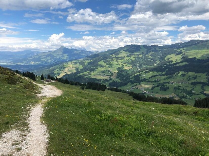 Wanderweg auf der Kathenrunde Schmaler Schotterweg führt über eine grüne Almwiese mit Blick auf bewaldete Berge unter bewölktem Himmel.